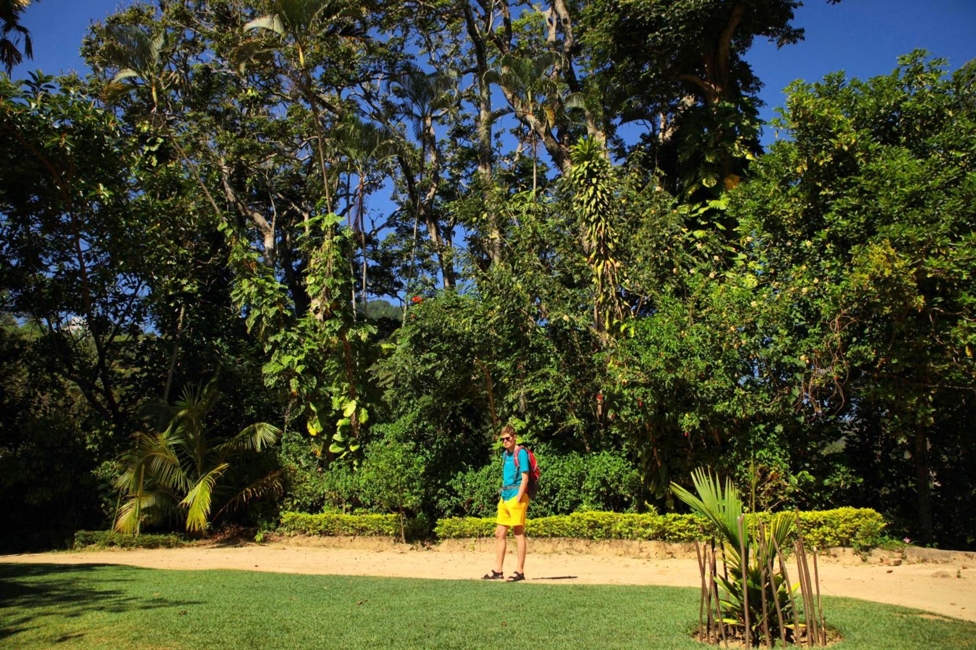 Sunnyside Holiday Bungalow Ella Bagian luar foto