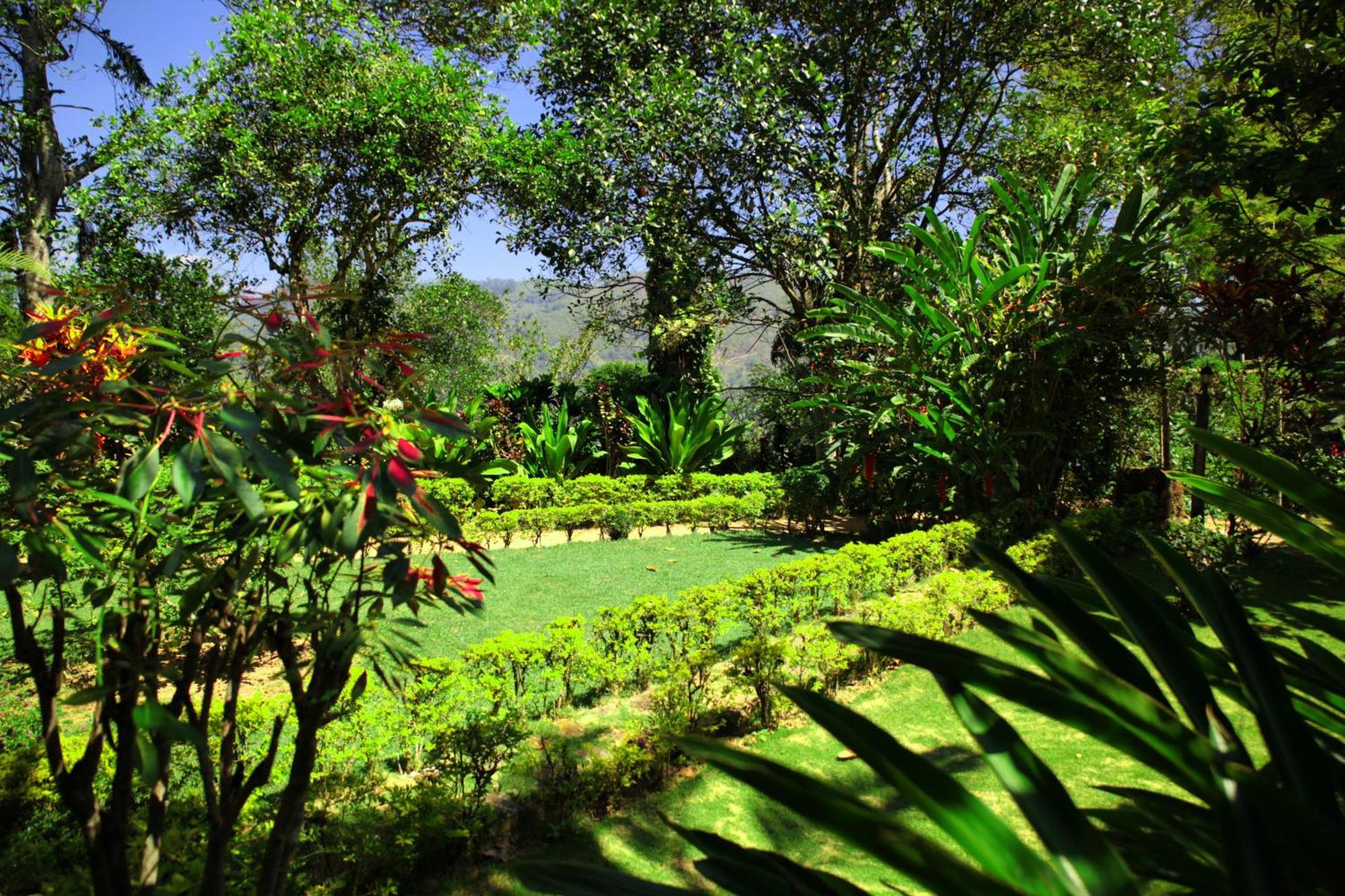 Sunnyside Holiday Bungalow Ella Bagian luar foto