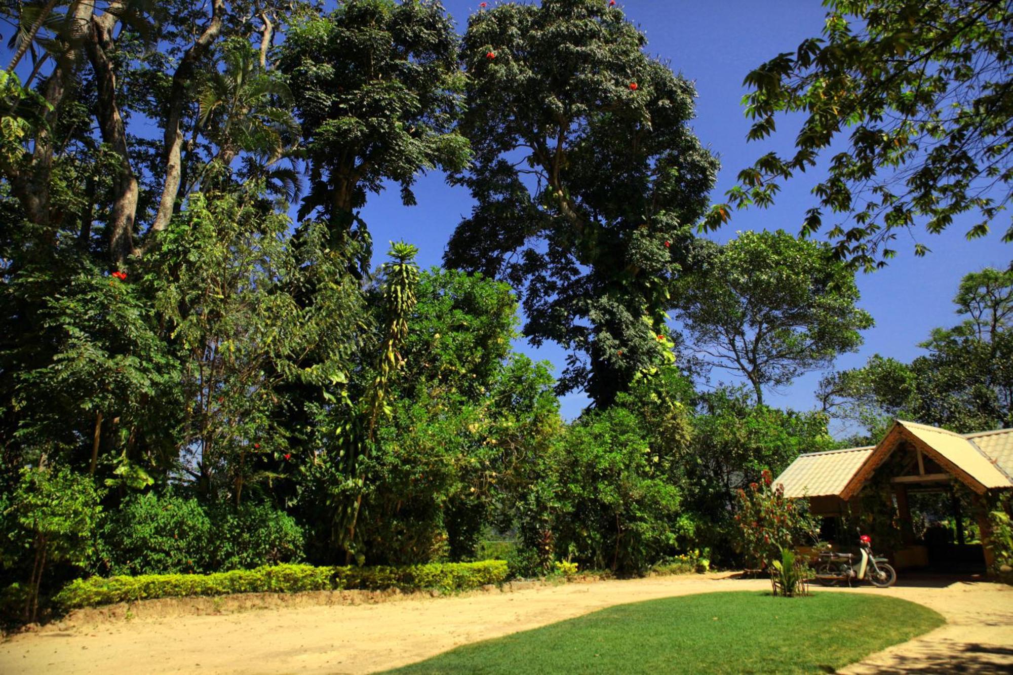 Sunnyside Holiday Bungalow Ella Bagian luar foto