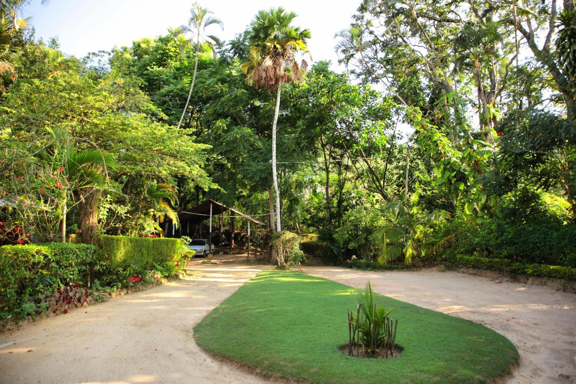 Sunnyside Holiday Bungalow Ella Bagian luar foto