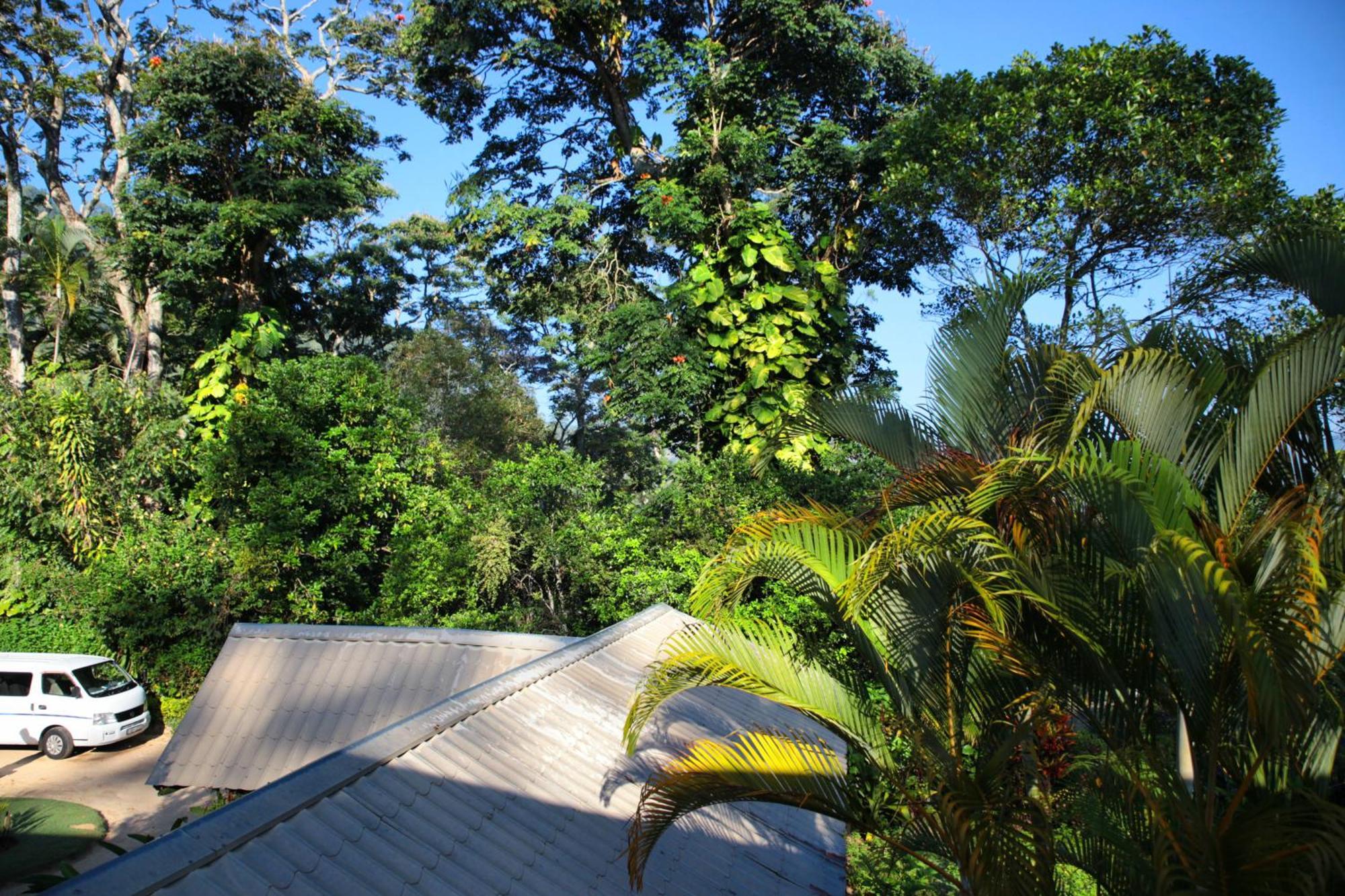 Sunnyside Holiday Bungalow Ella Bagian luar foto