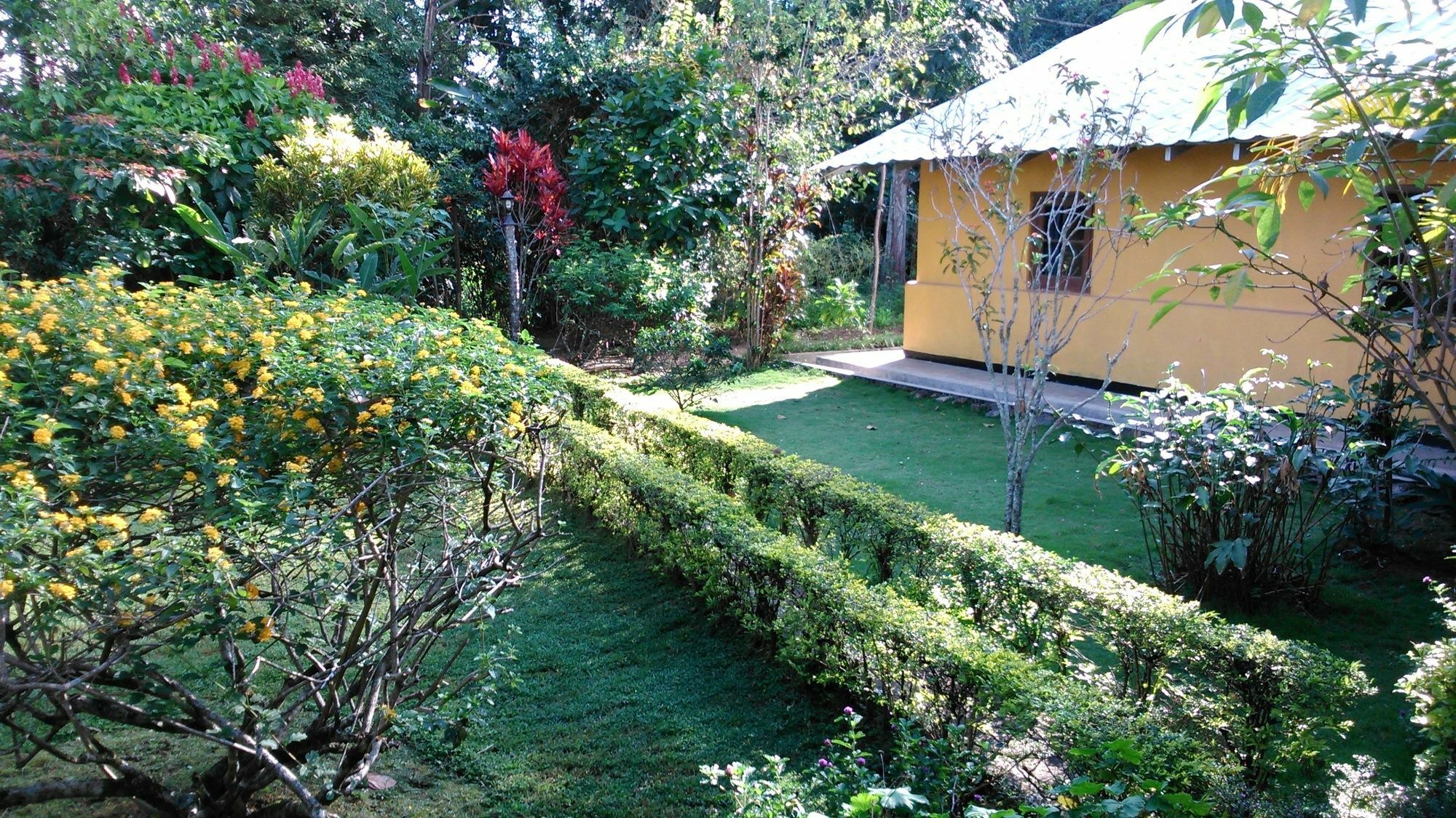 Sunnyside Holiday Bungalow Ella Bagian luar foto