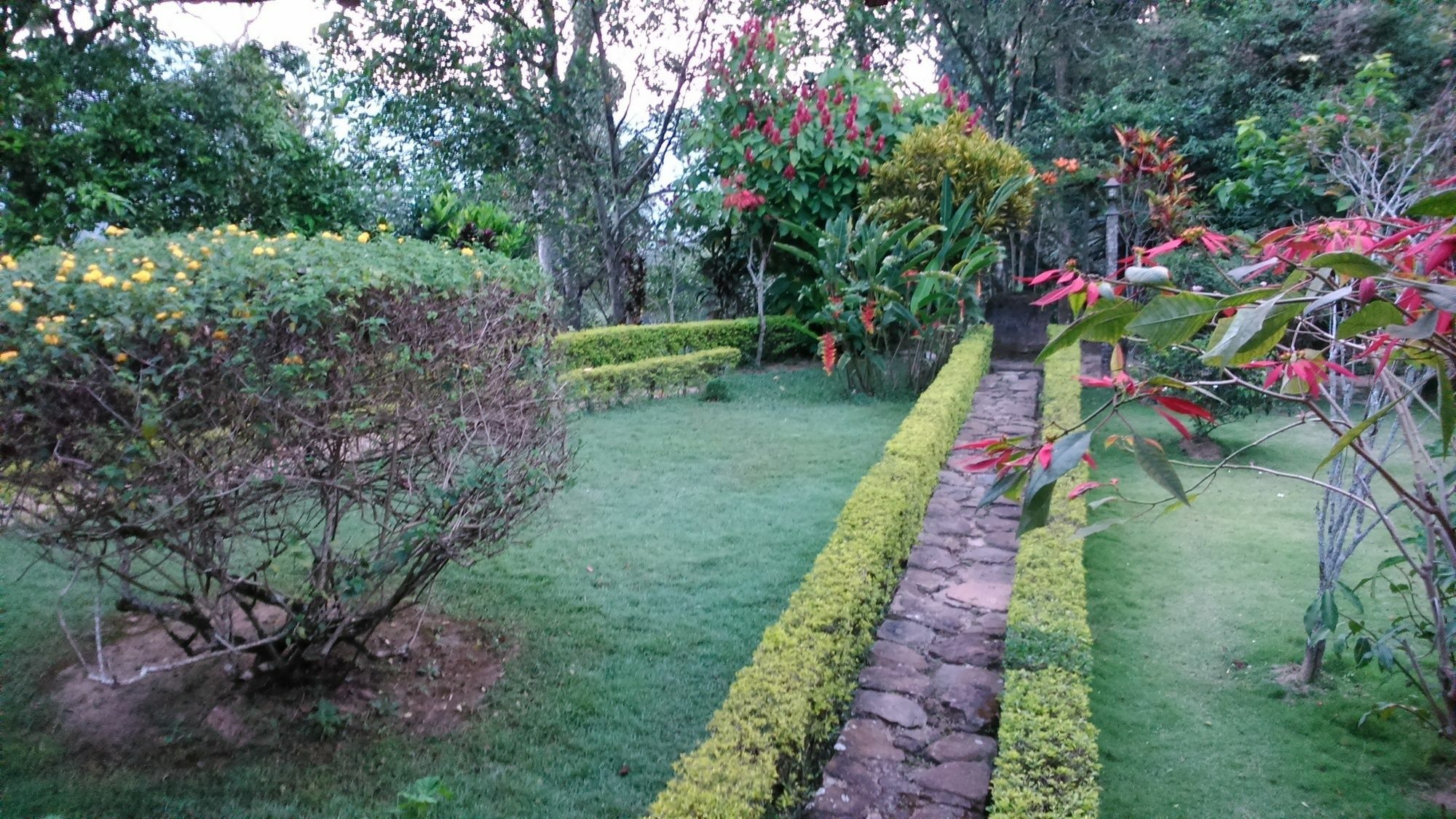 Sunnyside Holiday Bungalow Ella Bagian luar foto