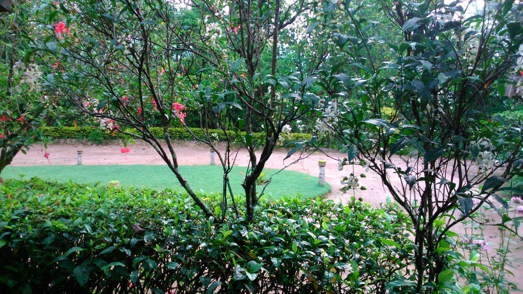Sunnyside Holiday Bungalow Ella Bagian luar foto