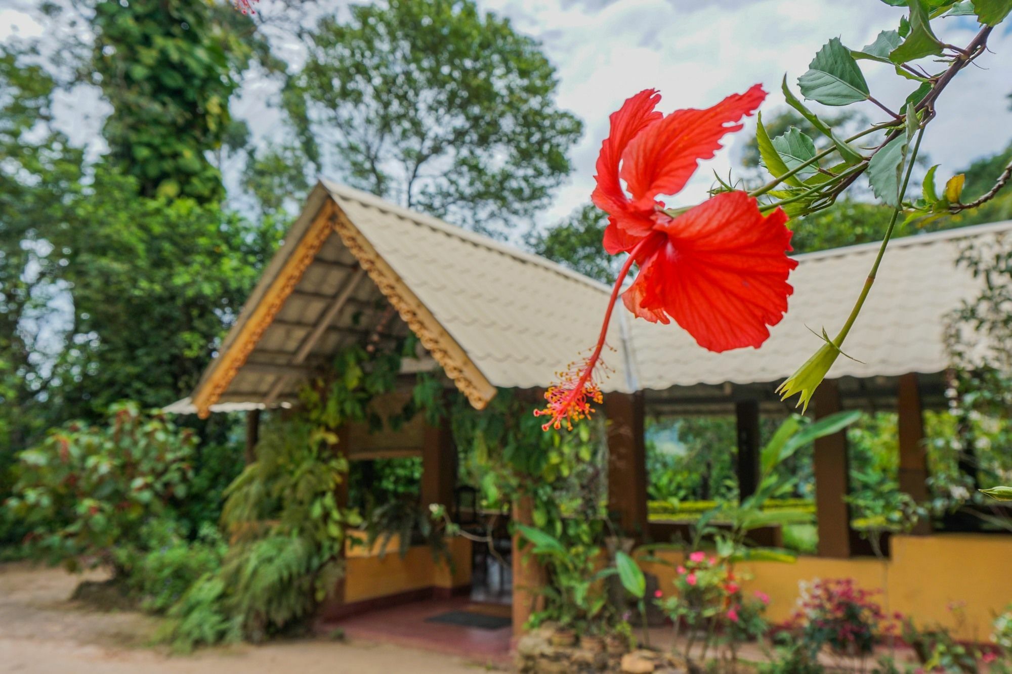 Sunnyside Holiday Bungalow Ella Bagian luar foto