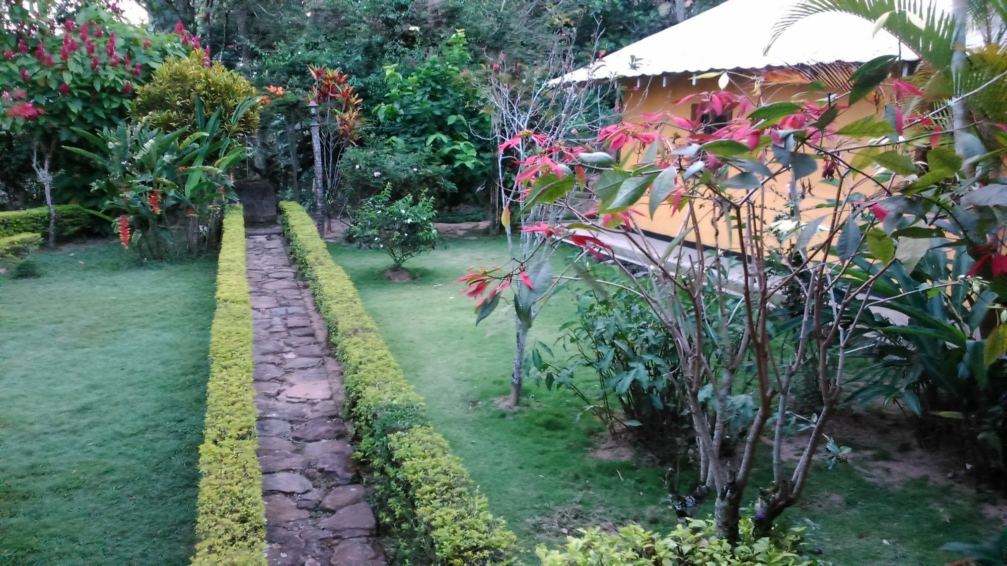 Sunnyside Holiday Bungalow Ella Bagian luar foto