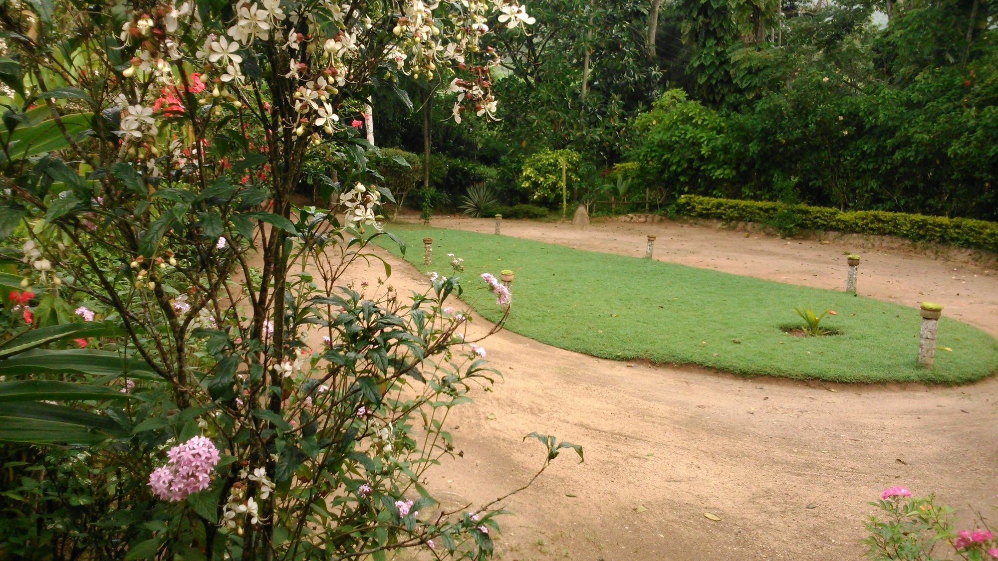 Sunnyside Holiday Bungalow Ella Bagian luar foto